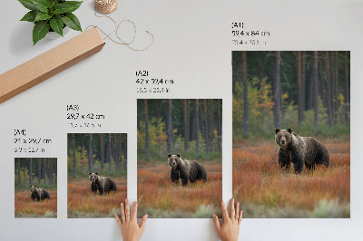 Decorative poster Bear in the autumn forest naturalness and peace