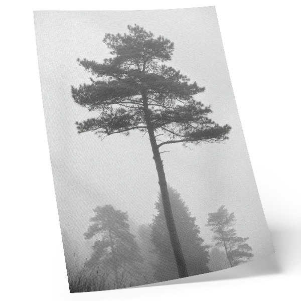 Poster Black and white tree in the fog unique silence