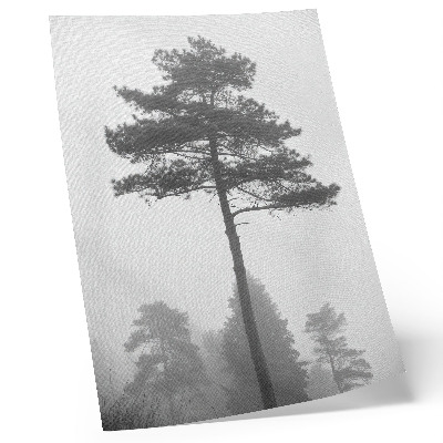Poster Black and white tree in the fog unique silence