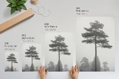 Poster Black and white tree in the fog unique silence