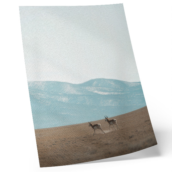 Premium wall art Antelopes against the backdrop of mountains, a peaceful space