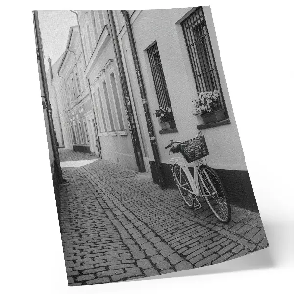 Poster street with tenement houses, flowers, and bicycle in black and white