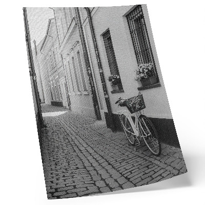 Poster Street, tenement houses, flowers, bicycle, black and white