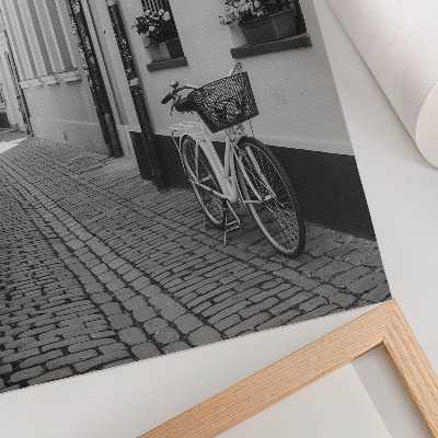 Poster Street, tenement houses, flowers, bicycle, black and white