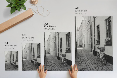 Poster Street, tenement houses, flowers, bicycle, black and white