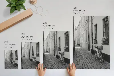 Poster street with tenement houses, flowers, and bicycle in black and white