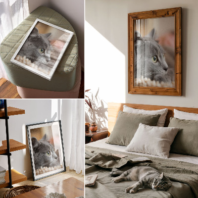 Art print Gray cat green eyes close look