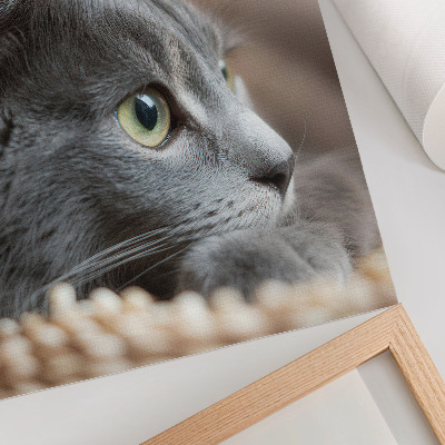 Art print Gray cat green eyes close look
