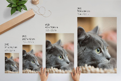 Art print Gray cat green eyes close look
