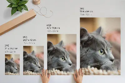 Art print gray cat with green eyes in a close-up view