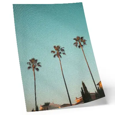Art print featuring palm trees against a blue background for an exotic atmosphere