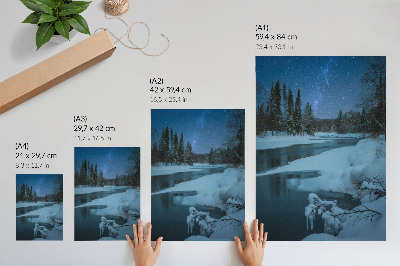 Premium wall art Winter landscape river trees stars