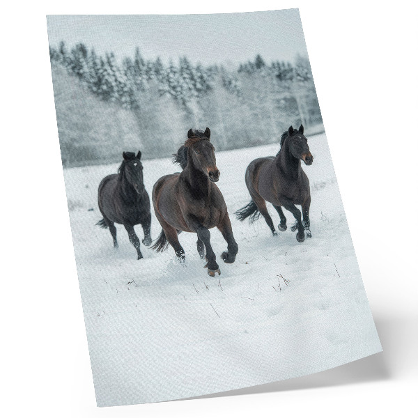 Premium wall art Black horses in motion against a snowy background