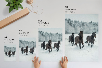 Premium wall art Black horses in motion against a snowy background