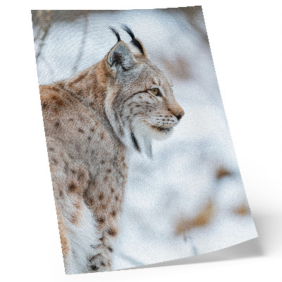 Decorative poster Rysy in winter beautiful nature natural colors harmony
