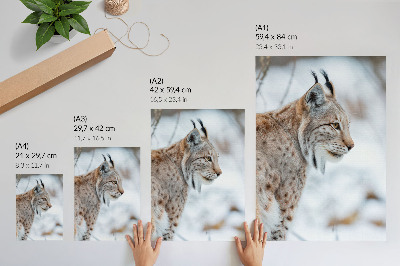 Decorative poster Rysy in winter beautiful nature natural colors harmony
