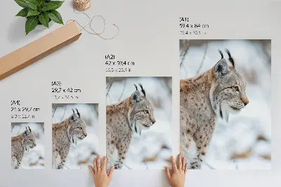 Decorative poster with a scenic view of Mount Rysy in winter featuring harmonious natural colors