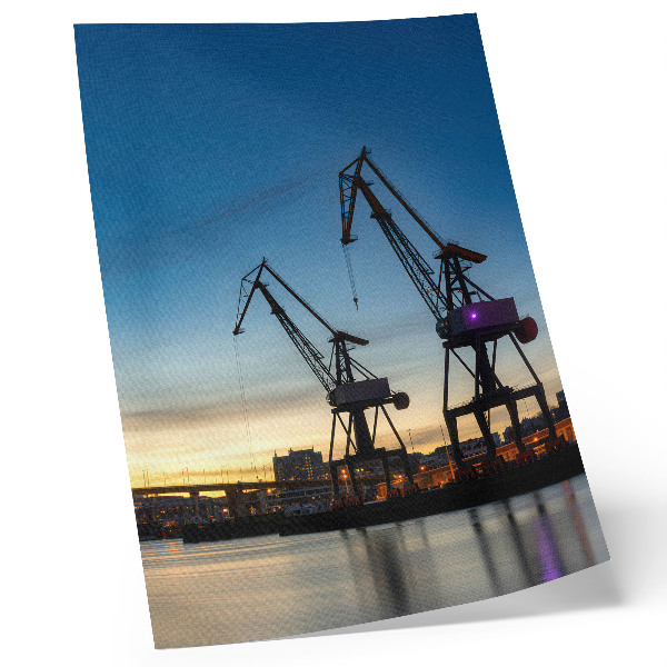 Poster Cranes against the backdrop of a dynamic sunset scenery