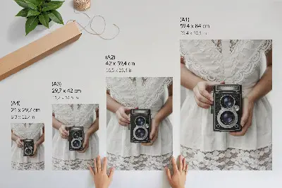 Lace dress delicate nostalgic camera print