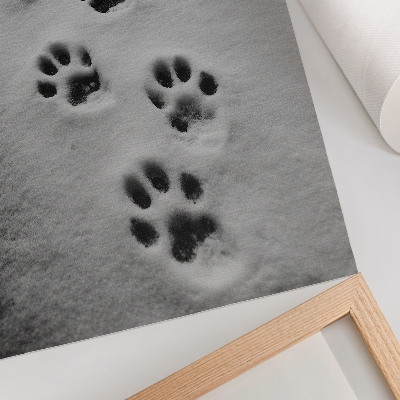 Premium wall art Paw prints in white snow a hint of mystery