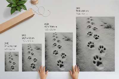 Premium wall art Paw prints in white snow a hint of mystery