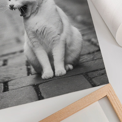 Poster Adorable cat on a cobblestone street with a black and white aesthetic