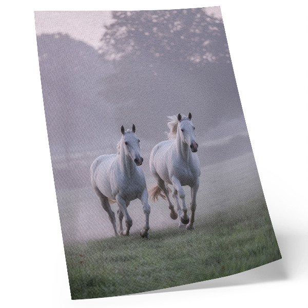 Decorative poster White horses morning fog space nature