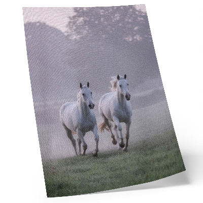Decorative poster White horses morning fog space nature