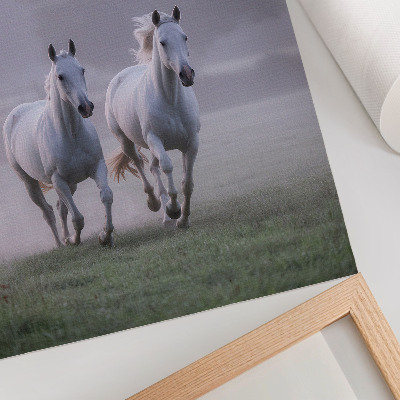 Decorative poster White horses morning fog space nature