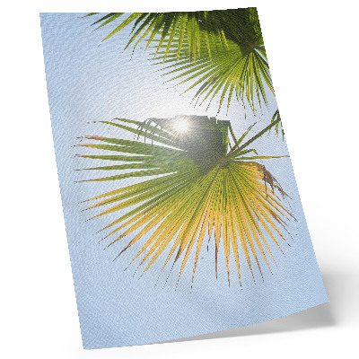 Poster Palm leaves blue background sunlight