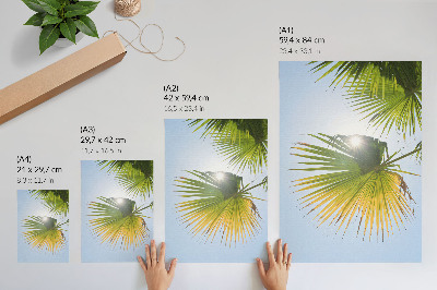 Poster Palm leaves blue background sunlight