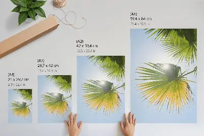 Poster palm leaves on a blue background in the sunlight