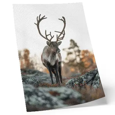 Decorative poster featuring a deer in an autumn forest landscape with rocks