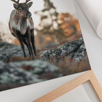 Decorative poster Deer against a background of rocks and trees in an autumn scenery