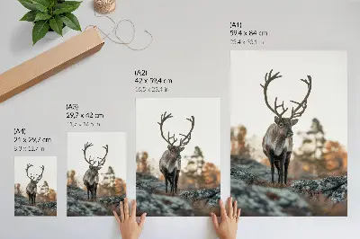Decorative poster featuring a deer in an autumn forest landscape with rocks