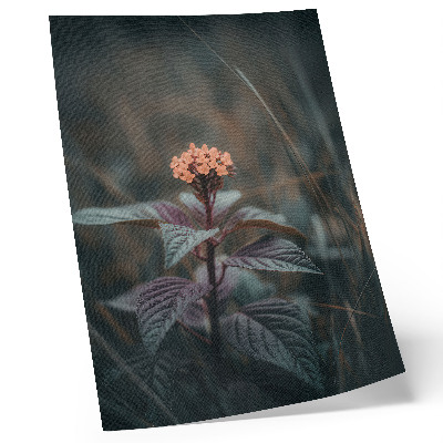 Poster A plant with a colorful flower against a green background
