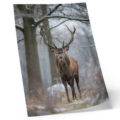 Art print Deer in winter majestic forest shades of gray