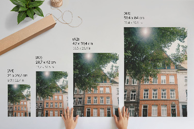 Premium wall art Colorful facades, green trees, sun in the sky