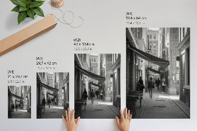 Premium wall art Black and white narrow street brick urban facades