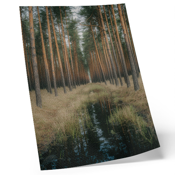 Decorative poster Simple forest scenery tall forest symmetry