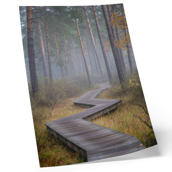 Premium wall art A wooden path among trees in the fog