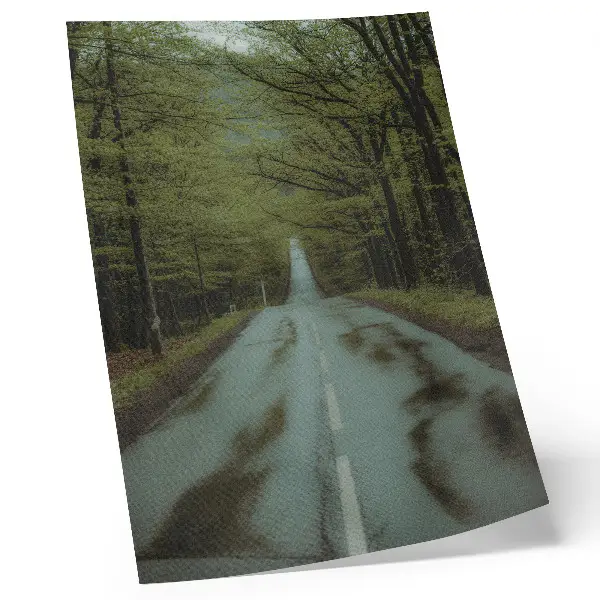 Decorative poster featuring a peaceful forest road with green adventure and mystery