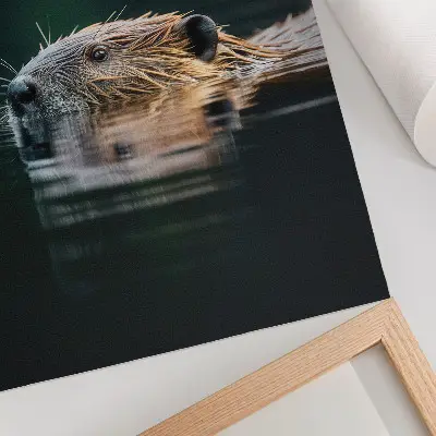 Decorative poster beaver in the water featuring a peaceful nature scene