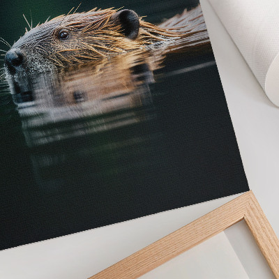 Decorative poster Beaver in the water, peaceful nature, wildness