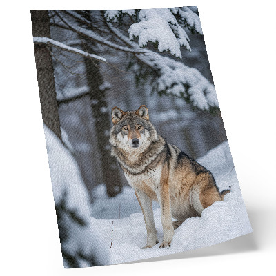 Decorative poster Wolf in the winter forest nature silence elegance