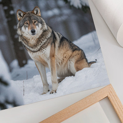 Decorative poster Wolf in the winter forest nature silence elegance