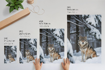 Decorative poster Wolf in the winter forest nature silence elegance