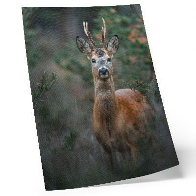 Decorative poster Deer in the forest green background peace nature
