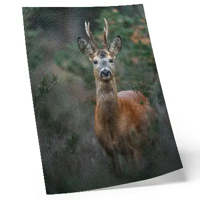 Decorative poster deer in the forest with a green background featuring a peaceful nature scene