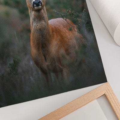 Decorative poster Deer in the forest green background peace nature